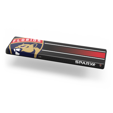 NHL Custom Overlay - Florida Panthers